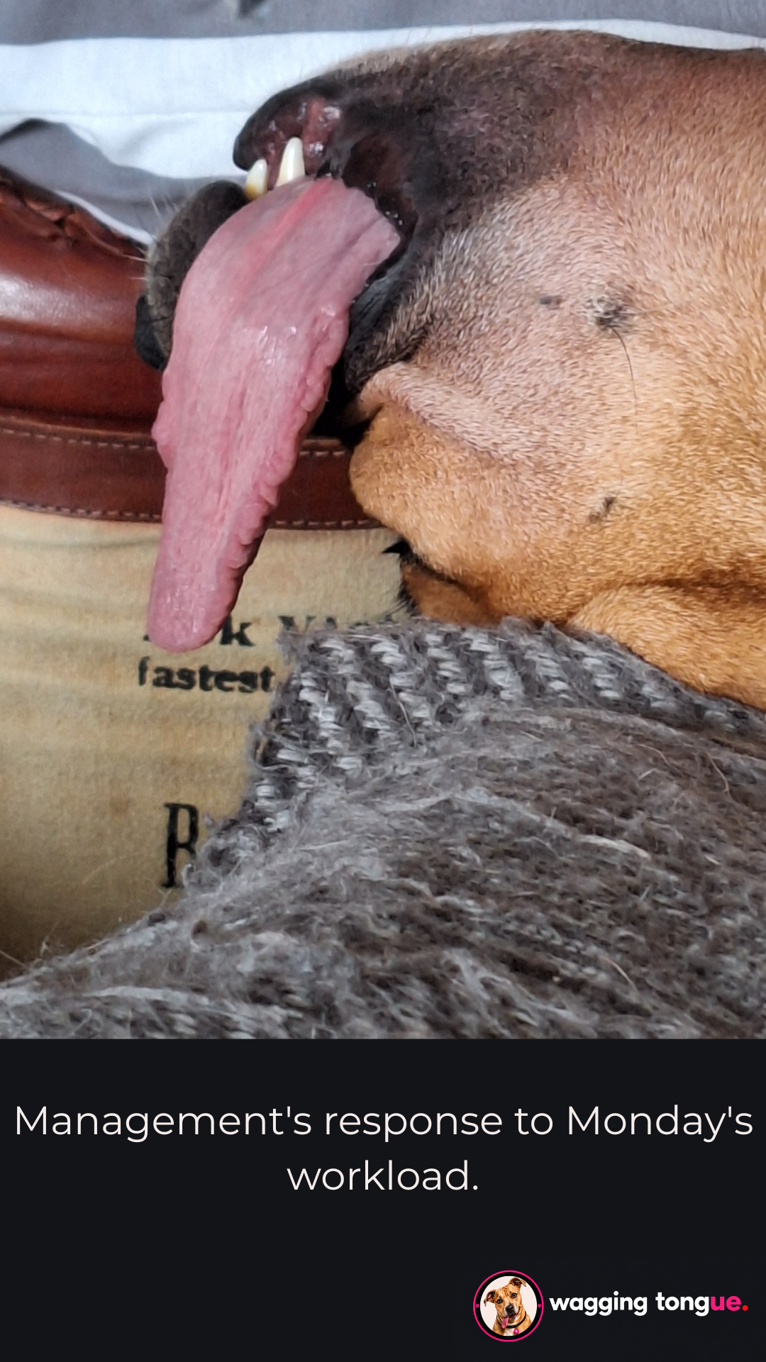 Management's response to Monday's workload.