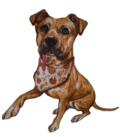 Ally, Chief Barketing Officer